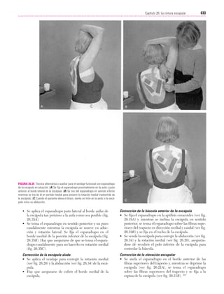 Ejercicio terapeutico recuperacion funcional