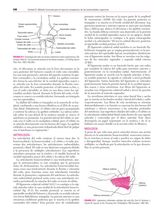 Ejercicio terapeutico recuperacion funcional