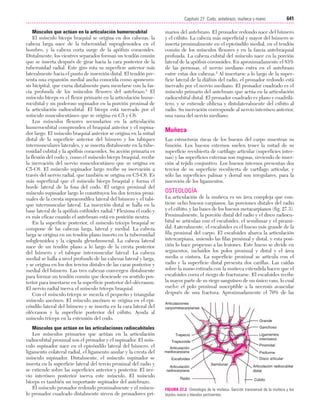 Ejercicio terapeutico recuperacion funcional