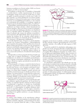 Ejercicio terapeutico recuperacion funcional