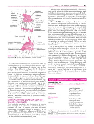 Ejercicio terapeutico recuperacion funcional