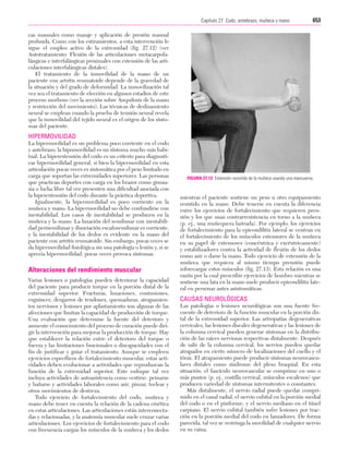 Ejercicio terapeutico recuperacion funcional