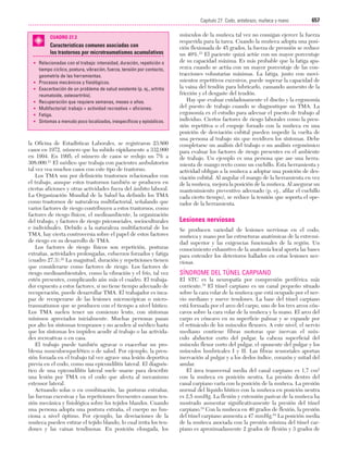 Ejercicio terapeutico recuperacion funcional