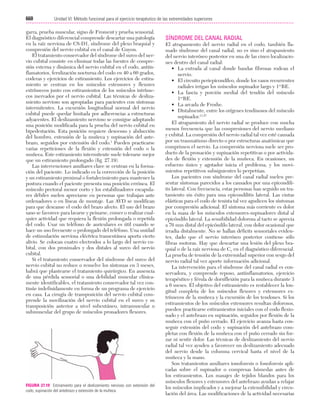 Ejercicio terapeutico recuperacion funcional