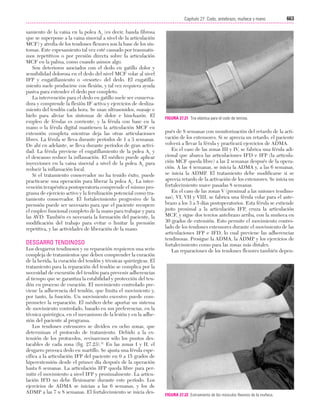 Ejercicio terapeutico recuperacion funcional