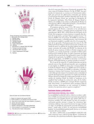 Ejercicio terapeutico recuperacion funcional