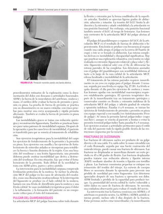 Ejercicio terapeutico recuperacion funcional