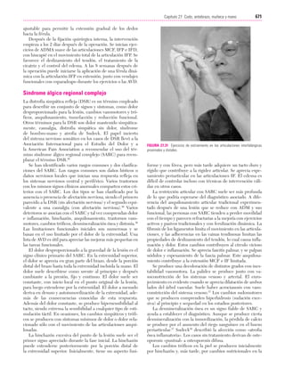 Ejercicio terapeutico recuperacion funcional