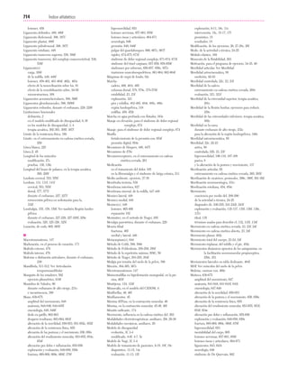 Ejercicio terapeutico recuperacion funcional