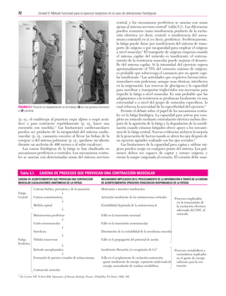 Cap. 05

23/3/06

20:39

Página 72

72

Unidad II: Método funcional para el ejercicio terpéutico en el caso de alteraciones fisiológicas
...................................................................................................................................................

FIGURA 5.1 Posición en bipedestación en el trabajo (A) en una postura incorrecta
o (B) correcta.

(p. ej., el cuádriceps al practicar esquí alpino o esquí acuático) o para contraerse repetidamente (p. ej., hacer una
excursión con mochila).1 Las limitaciones cardiovasculares
pueden ser producto de la incapacidad del sistema cardiovascular (p. ej., cansancio excesivo al llevar las bolsas de la
compra) o del sistema pulmonar (p. ej., quedarse sin aliento
durante un acelerón de 400 metros o al subir escaleras).
Las causas fisiológicas de la fatiga se han clasificado en
mecanismos periféricos o centrales. Los mecanismos centrales se asocian con determinadas zonas del sistema nervioso

Tabla 5.1.

CADENA DE PROCESOS QUE PROVOCAN UNA CONTRACCIÓN MUSCULAR

CADENA DE ACONTECIMIENTOS QUE PROVOCAN UNA CONTRACCIÓN
MUSCULAR (LOCALIZACIONES ANATÓMICAS DE LA FATIGA)

Fatiga
Central

Fatiga
Periférica

central, y los mecanismos periféricos se asocian con zonas
ajenas al sistema nervioso central2 (tabla 5.1). Las diferencias
pueden resumirse como insuficiencia producto de la excitación eléctrica (es decir, central) o insuficiencia del mecanismo contráctil en sí (es decir, periférico). Periféricamente,
la fatiga puede darse por insuficiencia del sistema de transporte de oxígeno o por incapacidad para emplear el oxígeno
a nivel muscular.3 El transporte de oxígeno empeora cuando
el sistema capilar del músculo es insuficiente; el entrenamiento de la resistencia muscular puede mejorar el desarrollo del sistema capilar. Si la intensidad del ejercicio supera
aproximadamente el 75% del consumo máximo de oxígeno,
es probable que sobrevenga el cansancio por un aporte capilar insuficiente.4 Las actividades que requieren fuerzas intramusculares más poderosas, aunque sean rítmicas, interfieren
en la oxigenación. Las reservas de glucógeno y la capacidad
para movilizar y transportar triglicéridos son necesarias para
impedir la fatiga a nivel muscular. Es más probable que las
adaptaciones a la resistencia se produzcan localmente en una
extremidad o a nivel del grupo de músculos específicos, lo
cual refuerza la necesidad de la especificidad del ejercicio.5
Persiste el debate sobre el papel de los mecanismos centrales en la fatiga fisiológica. La capacidad para activar por completo un músculo mediante estimulación eléctrica incluso después de la aparición de la fatiga y la degradación de la coordinación cuando estamos fatigados ofrece apoyo a los mecanismos de la fatiga central. Nuevas evidencias incluyen la mejoría
de la generación de fuerza cuando se abren los ojos después de
un ejercicio agotador realizado con los ojos cerrados.6
Las limitaciones de la capacidad para captar y utilizar oxígeno pueden surgir en cualquier punto del sistema. Los pulmones deben ser capaces de captar y extraer oxígeno, y
enviar la sangre oxigenada al corazón. El corazón debe man-

Cortezas límbica, premotora y de la asociación
↓
Corteza sensoriomotora
↓
Médula espinal
↓
Motoneuronas periféricas
↓
Unión neuromuscular
↓
Sarcolema
↓
Túbulos transversos
↓
Retículo sarcoplasmático
↓
Formación de puentes cruzados de actina-miosina

MECANISMOS IMPLICADOS EN EL PROCESAMIENTO DE LA INFORMACIÓN A TRAVÉS DE LA CADENA
DE ACONTECIMIENTOS (PROCESOS FISIOLÓGICOS RESPONSABLES DE LA FATIGA)

Motivación o incentivo insuficientes
Activación insuficiente de las motoneuronas corticales
Excitabilidad deprimida de la motoneurona α
Fallo en la transmisión neuronal

Procesos implicados
en la transmisión de
la excitación eléctrica
adecuada del SNC al
músculo

Fallo en la transmisión neuromuscular
Disminución de la excitabilidad de la membrana muscular
Fallo en la propagación del potencial de acción
Insuficiente liberación y/o recaptación de Ca2+

Procesos metabólicos y
enzimáticos implicados
Fallo en el acoplamiento de excitación-contracción,
en el aporte de energía
aporte insuficiente de energía, reposición inadecuada de
suficiente para la contracción
energía, acumulación de residuos metabólicos

Contracción muscular
* De Carrier DP, Nelson RM. Dynamics of Human Biologic Tissues. Filadelfia: FA Davis; 1992: 165.

 