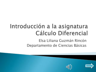 Elsa Liliana Guzmán Rincón
Departamento de Ciencias Básicas