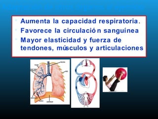 Adaptación de otros órganos al ejercicio
 Aumenta la capacidad respiratoria.
 Favorece la circulació n sanguínea
 Mayor elasticidad y fuerza de
tendones, músculos y articulaciones
 