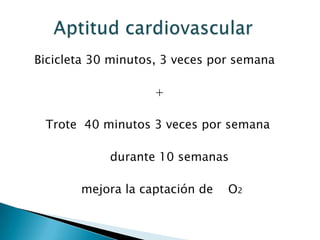 Bicicleta 30 minutos, 3 veces por semana

                    +

 Trote 40 minutos 3 veces por semana

            durante 10 semanas

       mejora la captación de   O2
 