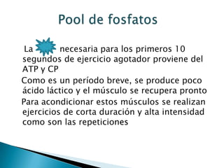 La       necesaria para los primeros 10
segundos de ejercicio agotador proviene del
ATP y CP
Como es un período breve, se produce poco
ácido láctico y el músculo se recupera pronto
Para acondicionar estos músculos se realizan
ejercicios de corta duración y alta intensidad
como son las repeticiones
 