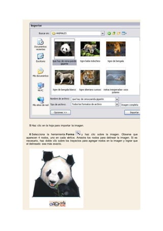 5 Haz clic en la hoja para importar la imagen.
6 Selecciona la herramienta Forma y haz clic sobre la imagen. Observa que
aparecen 4 nodos, uno en cada vértice. Arrastra los nodos para delinear la imagen. Si es
necesario, haz doble clic sobre los trayectos para agregar nodos en la imagen y lograr que
el delineado sea más exacto.
 