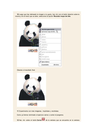 10 Luego que haz delineado la imagen a tu gusto, haz clic con el botón derecho sobre la
misma y en el menú que se abre, selecciona la opción Recortar mapa de bits.
Observa el resultado final:
11 Experimenta con más imágenes, impórtalas y recórtalas.
Como ya hemos terminado el ejercicio vamos a cerrar el programa.
12 Haz clic sobre el botón Cerrar de la ventana que se encuentra en la ventana
 
