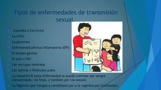 Tipos de enfermedades de transmisión
sexual.


Clamidia o Cervicitis



La sífilis



La gonorrea



Enfermedad pélvica inflamatoria (EPI)



El herpes genital



El sida o VIH



Las verrugas venéreas



Las ladillas o Pedículos pubis



La Hepatitis B (esta enfermedad se puede contraer por sangre
contaminada, vía fetal, y también por vía sexual)



La Vaginitis (por hongos o candidiasis por o la vaginitis por tricolomas)

 