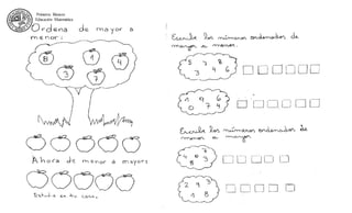 Primeros Básicos
Educación Matemática
 
