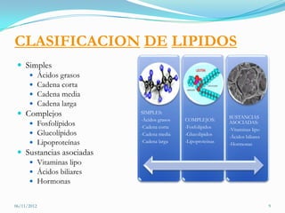 CLASIFICACION DE LIPIDOS
  Simples
     Ácidos grasos
     Cadena corta
     Cadena media
     Cadena larga
  Complejos              SIMPLES:
                                                            SUSTANCIAS
                          -Ácidos grasos   COMPLEJOS:
     Fosfolípidos        -Cadena corta    -Fosfolipidos
                                                            ASOCIADAS:
                                                            -Vitaminas lipo
     Glucolípidos        -Cadena media    -Glucolipidos
                                                            -Ácidos biliares
     Lipoproteínas       -Cadena larga    -Lipoproteinas
                                                            -Hormonas
  Sustancias asociadas
     Vitaminas lipo
     Ácidos biliares
     Hormonas


06/11/2012                                                                     9
 
