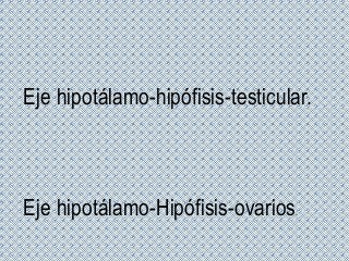 Eje hipotálamo-hipófisis-testicular.
Eje hipotálamo-Hipófisis-ovarios.
 