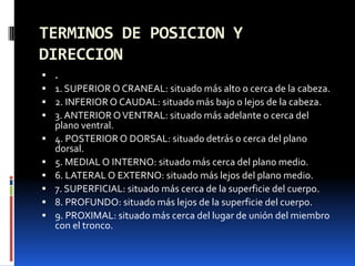 TERMINOS DE POSICION Y
DIRECCION
   .
   1. SUPERIOR O CRANEAL: situado más alto o cerca de la cabeza.
   2. INFERIOR O CAUDAL: situado más bajo o lejos de la cabeza.
   3. ANTERIOR O VENTRAL: situado más adelante o cerca del
    plano ventral.
   4. POSTERIOR O DORSAL: situado detrás o cerca del plano
    dorsal.
   5. MEDIAL O INTERNO: situado más cerca del plano medio.
   6. LATERAL O EXTERNO: situado más lejos del plano medio.
   7. SUPERFICIAL: situado más cerca de la superficie del cuerpo.
   8. PROFUNDO: situado más lejos de la superficie del cuerpo.
   9. PROXIMAL: situado más cerca del lugar de unión del miembro
    con el tronco.
 