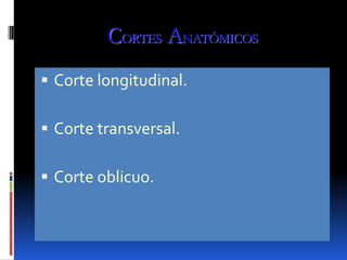 CORTES ANATÓMICOS
 Corte longitudinal.

 Corte transversal.

 Corte oblicuo.
 