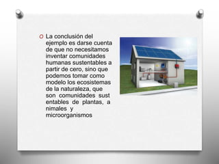 O La conclusión del 
ejemplo es darse cuenta 
de que no necesitamos 
inventar comunidades 
humanas sustentables a 
partir de cero, sino que 
podemos tomar como 
modelo los ecosistemas 
de la naturaleza, que 
son comunidades sust 
entables de plantas, a 
nimales y 
microorganismos 
 