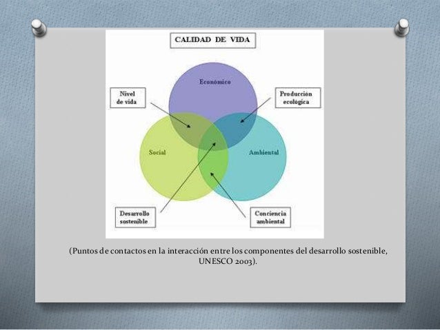 Ejes de sustentabilidad