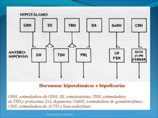 Santiago Chung Alcarazo
 