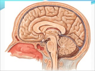 Santiago Chung Alcarazo
 