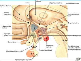 Santiago Chung Alcarazo
 