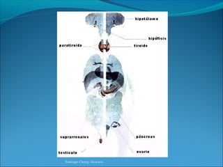 Santiago Chung Alcarazo
 