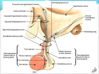 Santiago Chung Alcarazo
 