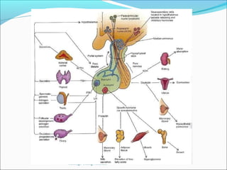 Santiago Chung Alcarazo
 