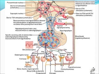 Santiago Chung Alcarazo
 