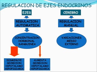REGULACION DE EJES ENDOCRINOS
            EJES                           CEREBRO

        REGULACION                        REGULACION
        AUTOMATICA                          MANUAL


       CONCENTRACION                      VARIACIONES
         HORMONAL                            MEDIO
         SANGUINEA                          EXTERNO




  DISMINUYE           AUMENTA
  SECRECION          SECRECION
 HIPOTALAMO        HIPOTALAMO
 HIPOFISIARIA     HIPOFISIARIA
                Santiago Chung Alcarazo
 
