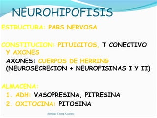 NEUROHIPOFISIS
ESTRUCTURA: PARS NERVOSA

CONSTITUCION: PITUICITOS, T CONECTIVO
 Y AXONES
 AXONES: CUERPOS DE HERRING
 (NEUROSECRECION + NEUROFISINAS I Y II)

ALMACENA:
 1. ADH: VASOPRESINA, PITRESINA
 2. OXITOCINA: PITOSINA
            Santiago Chung Alcarazo
 
