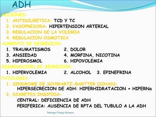 ADH
ACCIONES:
  1. ANTIDIURETICA: TCD Y TC
  2. VASOPRESORA: HIPERTENSION ARTERIAL
  3. REGULACION DE LA VOLEMIA
  4. REGULACION OSMOTICA
AUMENTO DE SECRECION:
  1. TRAUMATISMOS       2. DOLOR
  3. ANSIEDAD           4. MORFINA, NICOTINA
  5. HIPEROSMOL         6. HIPOVOLEMIA
DISMINUCION DE SECRECION:
  1. HIPERVOLEMIA       2. ALCOHOL 3. EPINEFRINA
PATOLOGIA
  1. SINDROME DE SCHWARTZ-BARTTER (SIHAD):
       HIPERSECRECION DE ADH: HIPERHIDRATACION + HIPERNa
  2. DIABETES INSIPIDA:
       CENTRAL: DEFICIENCIA DE ADH
       PERIFERICA: AUSENCIA DE RPTA DEL TUBULO A LA ADH
                Santiago Chung Alcarazo
 