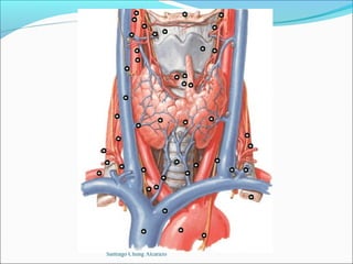 Santiago Chung Alcarazo
 