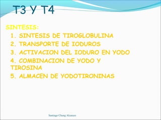 T3 Y T4
SINTESIS:
 1. SINTESIS DE TIROGLOBULINA
 2. TRANSPORTE DE IODUROS
 3. ACTIVACION DEL IODURO EN YODO
 4. COMBINACION DE YODO Y
 TIROSINA
 5. ALMACEN DE YODOTIRONINAS




           Santiago Chung Alcarazo
 