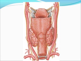 Santiago Chung Alcarazo
 