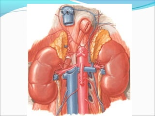 Santiago Chung Alcarazo
 