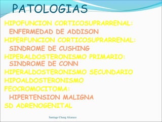 PATOLOGIAS
HIPOFUNCION CORTICOSUPRARRENAL:
 ENFERMEDAD DE ADDISON
HIPERFUNCION CORTICOSUPRARRENAL:
 SINDROME DE CUSHING
HIPERALDOSTERONISMO PRIMARIO:
 SINDROME DE CONN
HIPERALDOSTERONISMO SECUNDARIO
HIPOALDOSTERONISMO
FEOCROMOCITOMA:
 HIPERTENSION MALIGNA
SD ADRENOGENITAL
          Santiago Chung Alcarazo
 