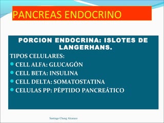 PANCREAS ENDOCRINO

   PORCION ENDOCRINA: ISLOTES DE
               LANGERHANS.
TIPOS CELULARES:
CELL ALFA: GLUCAGÓN
CELL BETA: INSULINA
CELL DELTA: SOMATOSTATINA
CELULAS PP: PÉPTIDO PANCREÁTICO



         Santiago Chung Alcarazo
 