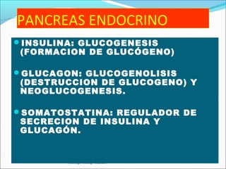 PANCREAS ENDOCRINO
INSULINA: GLUCOGENESIS
 (FORMACION DE GLUCÓGENO)

GLUCAGON: GLUCOGENOLISIS
 (DESTRUCCION DE GLUCOGENO) Y
 NEOGLUCOGENESIS.

SOMATOSTATINA: REGULADOR DE
 SECRECION DE INSULINA Y
 GLUCAGÓN.


        Santiago Chung Alcarazo
 