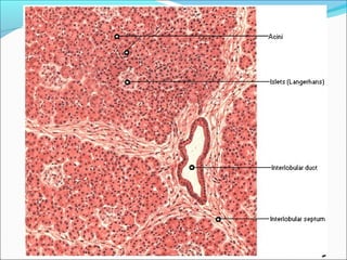 Santiago Chung Alcarazo
 