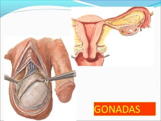 Santiago Chung Alcarazo
 