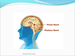 Santiago Chung Alcarazo
 