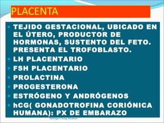 • TEJIDO GESTACIONAL, UBICADO EN
    EL ÚTERO, PRODUCTOR DE
    HORMONAS, SUSTENTO DEL FETO.
    PRESENTA EL TROFOBLASTO.
•   LH PLACENTARIO
•   FSH PLACENTARIO
•   PROLACTINA
•   PROGESTERONA
•   ESTRÓGENO Y ANDRÓGENOS
•   hCG( GONADOTROFINA CORIÓNICA
    HUMANA): PX DE EMBARAZO
           Santiago Chung Alcarazo
 