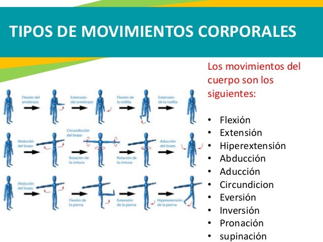 Ejes y planos de movimientos del cuerpo humano